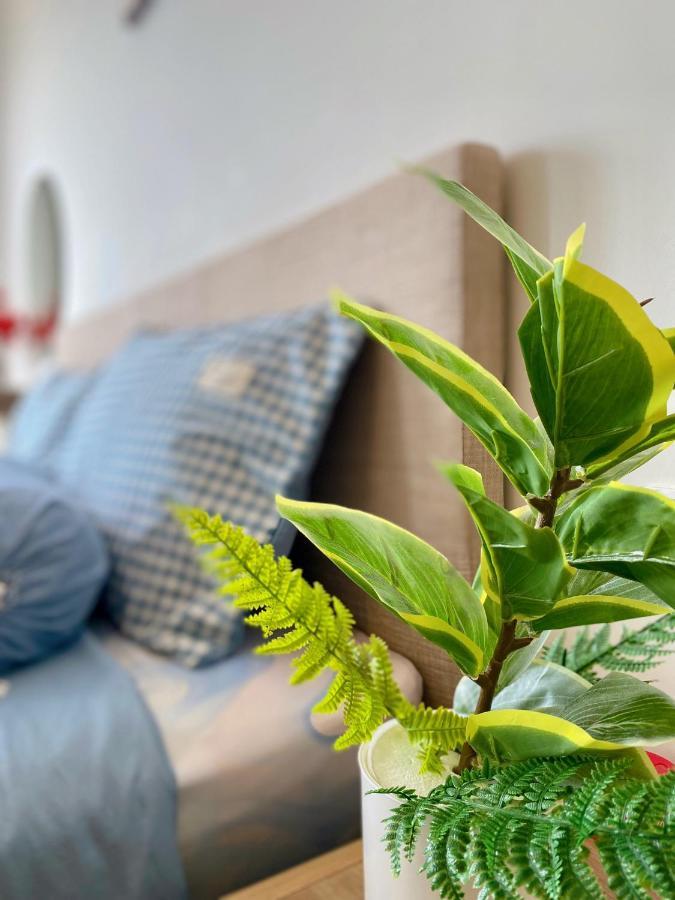 The Song Apartment Vung Tau - Boo Boo Homestay ภายนอก รูปภาพ